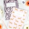 Bullet Journal Zebra & Cheeta